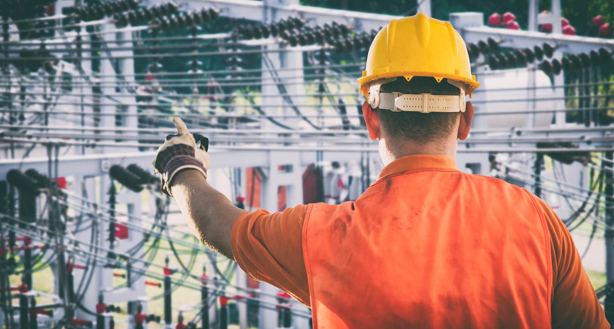 Person with hard hat from the back